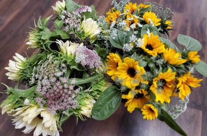 CROWSNEST PASS & AREA: 8 SPRING TO FALL BOUQUETS