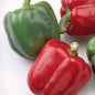 PEPPER - BARON