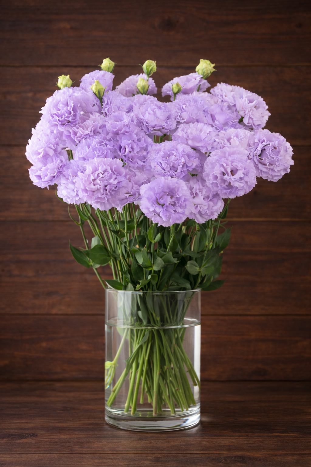 CELEB 1 - LAVENDER