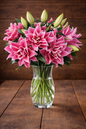 ROSELILY -ESRA