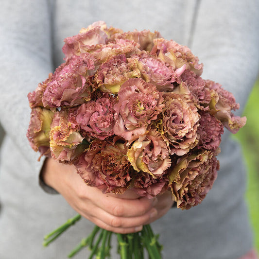 ROSANNE 2 -TERRACOTTA