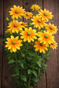 RUDBECKIA - IRISH EYES