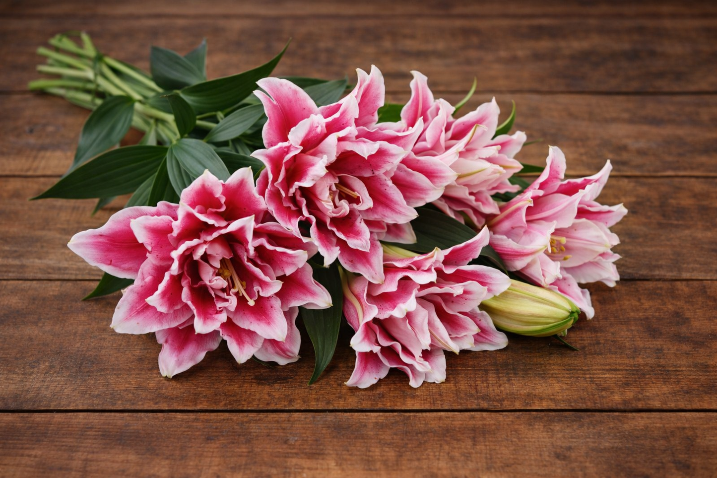 ROSELILY - SAMANTHA