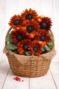 SUNFLOWER - TERRACOTTA