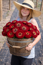 ZINNIA - BENARY DEEP RED