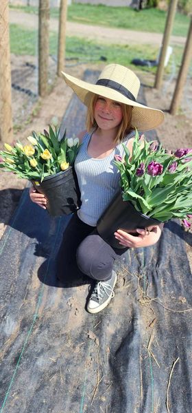 SPARWOOD: 4 SPRING - FALL BOUQUETS